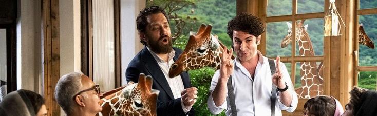 وجبة إفطار مع الزرافات